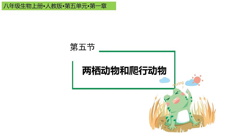 2023-2024学年八年级生物上册同步备课系列（人教版）5.1.5两栖动物和爬行动物（教学课件）第1页