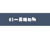 2023-2024学年八年级生物上册同步备课系列（人教版）5.1.5两栖动物和爬行动物（教学课件）