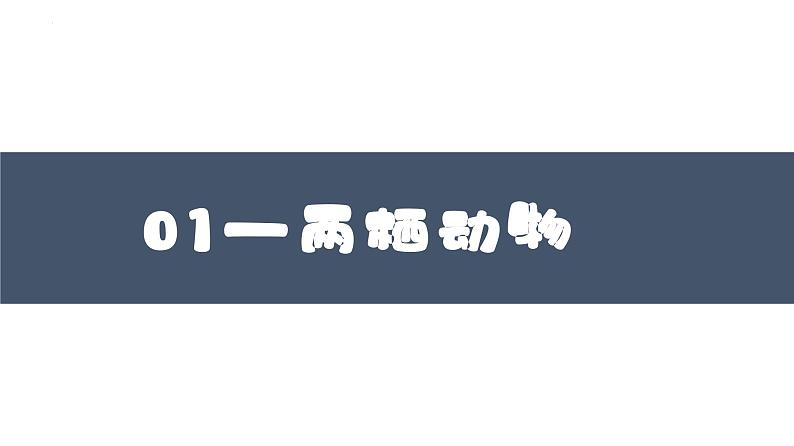 2023-2024学年八年级生物上册同步备课系列（人教版）5.1.5两栖动物和爬行动物（教学课件）第3页