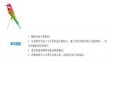 2023-2024学年八年级生物上册同步备课系列（人教版）5.1.6 鸟（教学课件）