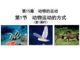 2023-2024学年八年级生物（北师大版）上册同步备课优质课件 15.1 动物运动的方式（第1课时）