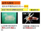 2023-2024学年八年级生物（北师大版）上册同步备课优质课件 15.1 动物运动的方式（第1课时）