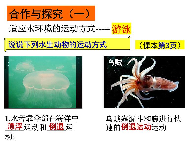 2023-2024学年八年级生物（北师大版）上册同步备课优质课件 15.1 动物运动的方式（第1课时）04