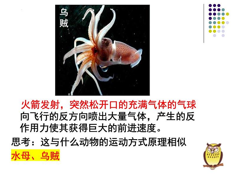 2023-2024学年八年级生物（北师大版）上册同步备课优质课件 15.1 动物运动的方式（第1课时）05