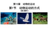 2023-2024学年八年级生物（北师大版）上册同步备课优质课件 15.1 动物运动的方式（第2课时）