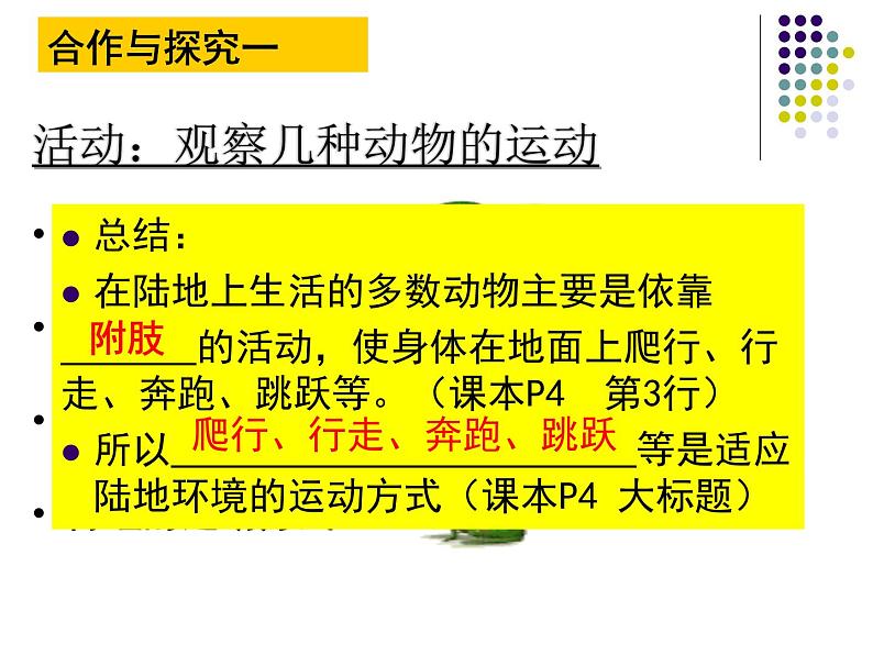 2023-2024学年八年级生物（北师大版）上册同步备课优质课件 15.1 动物运动的方式（第2课时）04