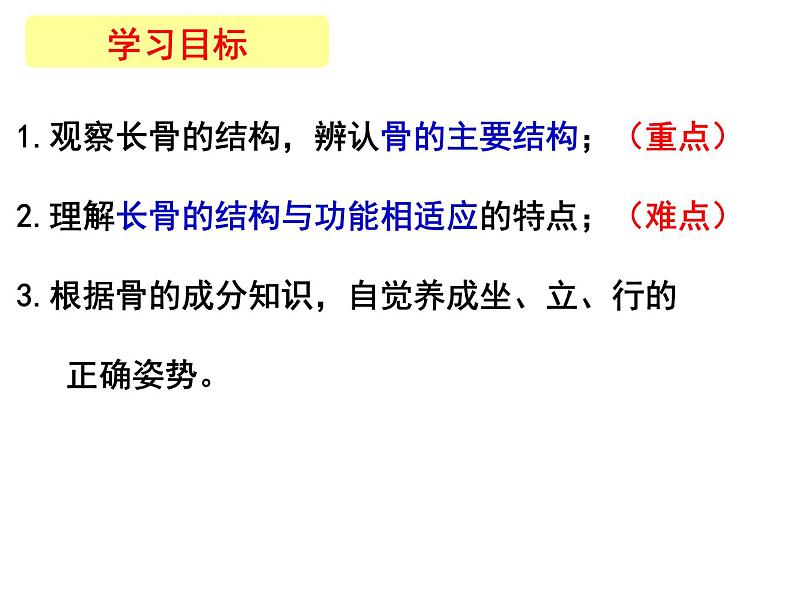 2023-2024学年八年级生物（北师大版）上册同步备课优质课件 15.2 动物运动的形成（第1课时）第2页