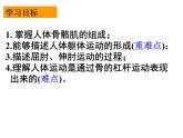 2023-2024学年八年级生物（北师大版）上册同步备课优质课件 15.2 动物运动的形成（第3课时）