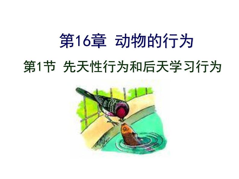 2023-2024学年八年级生物（北师大版）上册同步备课优质课件 16.1 先天性行为和后天学习行为第1页