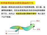 2023-2024学年八年级生物（北师大版）上册同步备课优质课件 16.1 先天性行为和后天学习行为