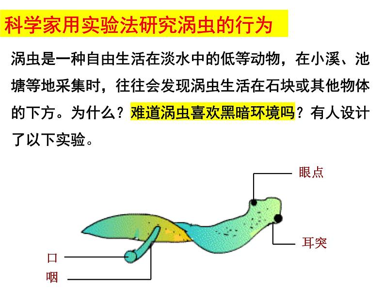 2023-2024学年八年级生物（北师大版）上册同步备课优质课件 16.1 先天性行为和后天学习行为第5页