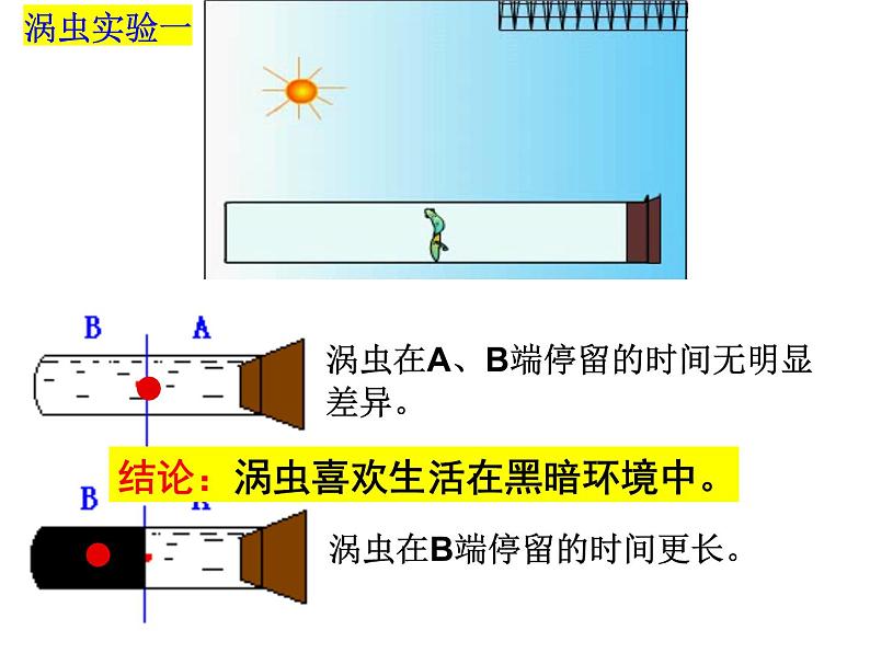 2023-2024学年八年级生物（北师大版）上册同步备课优质课件 16.1 先天性行为和后天学习行为第6页