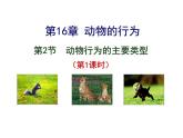 2023-2024學(xué)年八年級生物（北師大版）上冊同步備課優(yōu)質(zhì)課件 16.2.1 動物行為的主要類型
