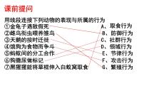 北师大版八年级上册第3节  动物行为的研究备课ppt课件