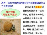 2023-2024学年八年级生物（北师大版）上册同步备课优质课件 16.3 动物行为的研究