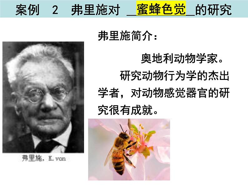 2023-2024学年八年级生物（北师大版）上册同步备课优质课件 16.3 动物行为的研究第6页