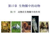 2023-2024学年八年级生物（北师大版）上册同步备课优质课件 17.1 动物在生物圈中的作用