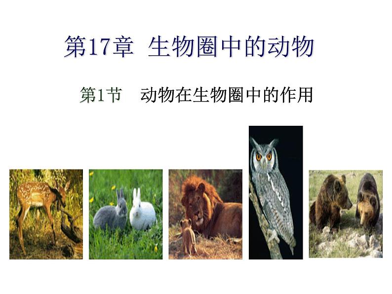 2023-2024学年八年级生物（北师大版）上册同步备课优质课件 17.1 动物在生物圈中的作用第1页