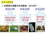 2023-2024学年八年级生物（北师大版）上册同步备课优质课件 17.1 动物在生物圈中的作用