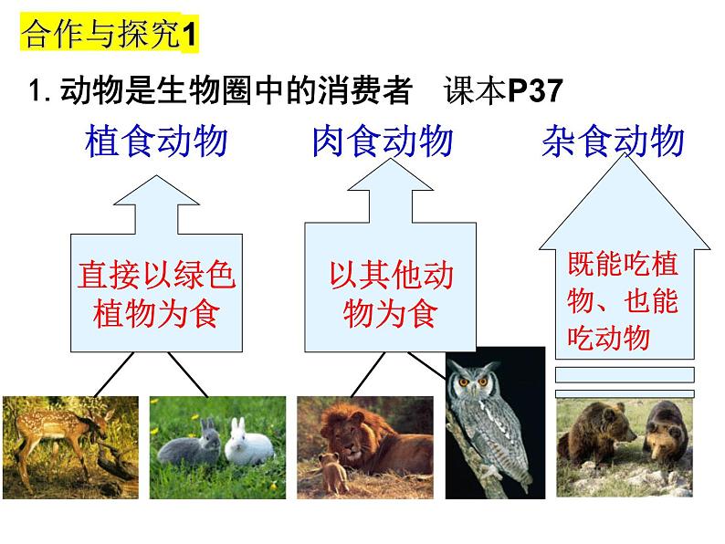 2023-2024学年八年级生物（北师大版）上册同步备课优质课件 17.1 动物在生物圈中的作用第3页