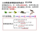 2023-2024学年八年级生物（北师大版）上册同步备课优质课件 17.1 动物在生物圈中的作用