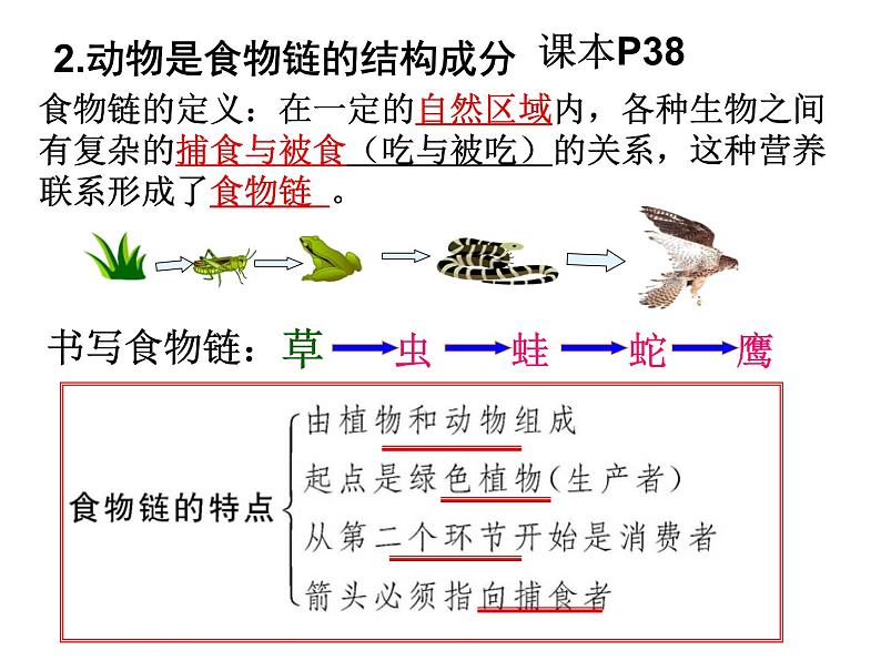 2023-2024学年八年级生物（北师大版）上册同步备课优质课件 17.1 动物在生物圈中的作用第4页