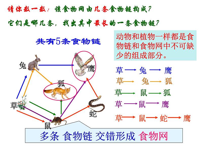 2023-2024学年八年级生物（北师大版）上册同步备课优质课件 17.1 动物在生物圈中的作用第5页