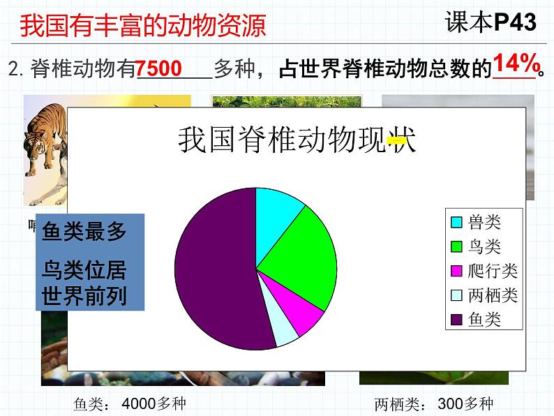 2023-2024学年八年级生物（北师大版）上册同步备课优质课件 17.2 我国的动物资源及保护第7页