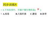 2023-2024学年八年级生物（北师大版）上册同步备课优质课件 18.1 微生物在生物圈中的作用