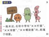 2023-2024学年八年级生物（北师大版）上册同步备课优质课件 18.1 微生物在生物圈中的作用