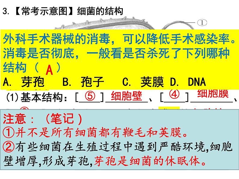 2023-2024学年八年级生物（北师大版）上册同步备课优质课件 18.1 微生物在生物圈中的作用06