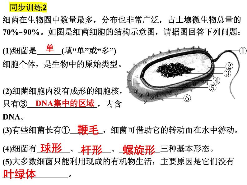 2023-2024学年八年级生物（北师大版）上册同步备课优质课件 18.1 微生物在生物圈中的作用08