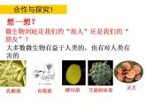 2023-2024学年八年级生物（北师大版）上册同步备课优质课件 18.2 微生物与人类的关系