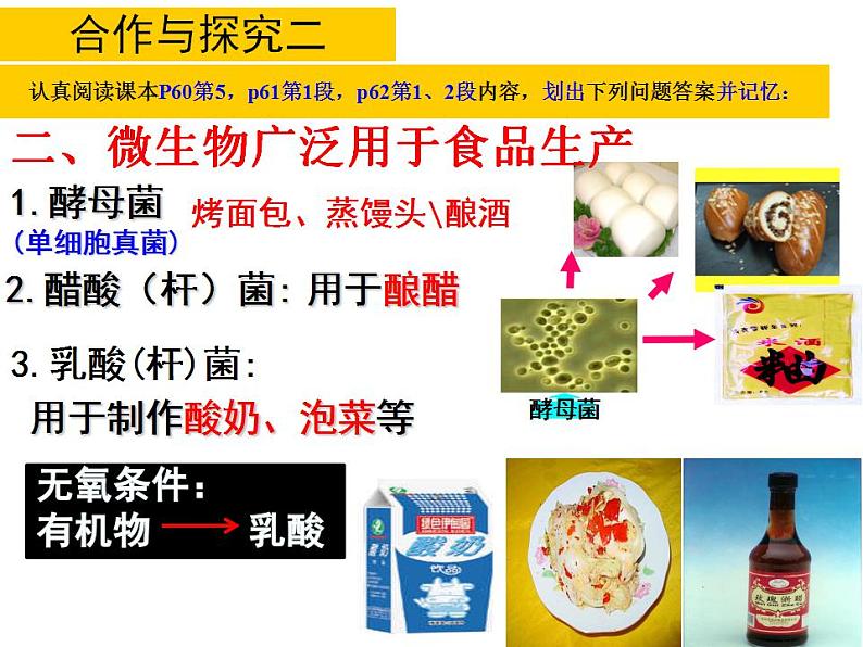 2023-2024学年八年级生物（北师大版）上册同步备课优质课件 18.2 微生物与人类的关系第8页