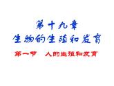 2023-2024学年八年级生物（北师大版）上册同步备课优质课件 19.1.1 人的生殖和发育