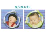 2023-2024学年八年级生物（北师大版）上册同步备课优质课件 19.1.1 人的生殖和发育