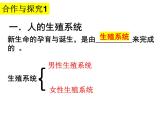 2023-2024学年八年级生物（北师大版）上册同步备课优质课件 19.1.1 人的生殖和发育