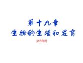 2023-2024学年八年级生物（北师大版）上册同步备课优质课件 19.1.2. 人的生殖和发育