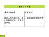 2023-2024学年八年级生物（北师大版）上册同步备课优质课件 19.1.2. 人的生殖和发育