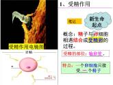 2023-2024学年八年级生物（北师大版）上册同步备课优质课件 19.1.2. 人的生殖和发育