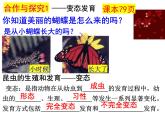 2023-2024学年八年级生物（北师大版）上册同步备课优质课件 19.2.1 动物的生殖和发育