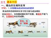 2023-2024学年八年级生物（北师大版）上册同步备课优质课件 19.2.1 动物的生殖和发育