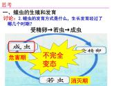 2023-2024学年八年级生物（北师大版）上册同步备课优质课件 19.2.1 动物的生殖和发育