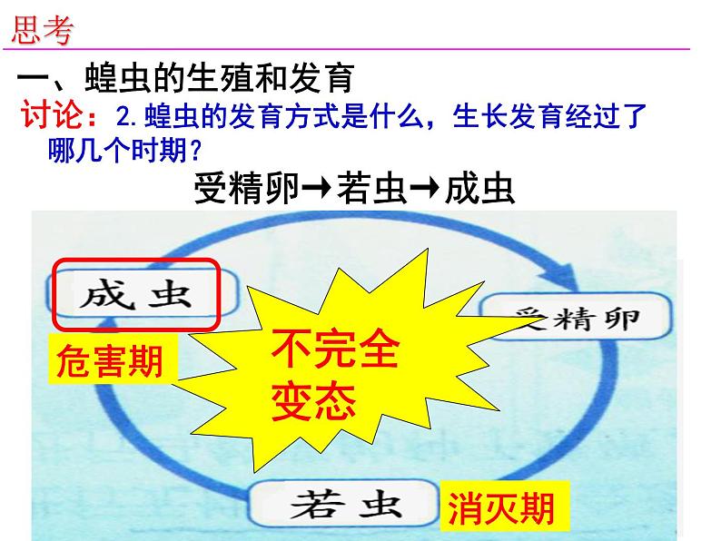 2023-2024学年八年级生物（北师大版）上册同步备课优质课件 19.2.1 动物的生殖和发育第5页