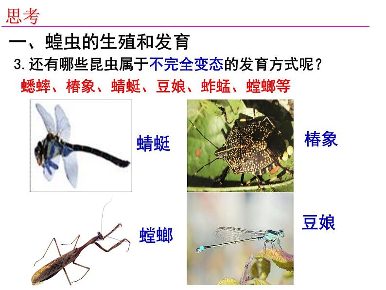 2023-2024学年八年级生物（北师大版）上册同步备课优质课件 19.2.1 动物的生殖和发育第6页