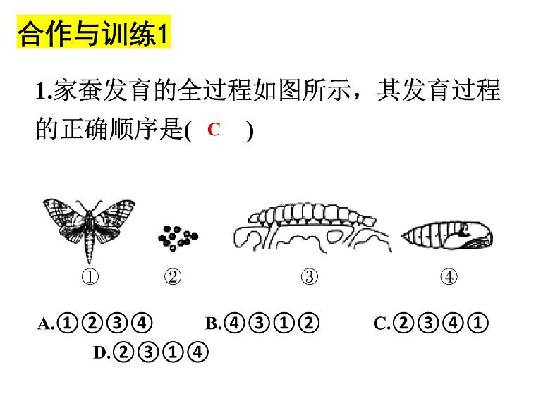 2023-2024学年八年级生物（北师大版）上册同步备课优质课件 19.2.1 动物的生殖和发育第8页