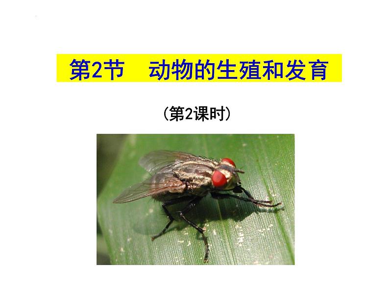 2023-2024学年八年级生物（北师大版）上册同步备课优质课件 19.2.2 动物的生殖和发育第2页