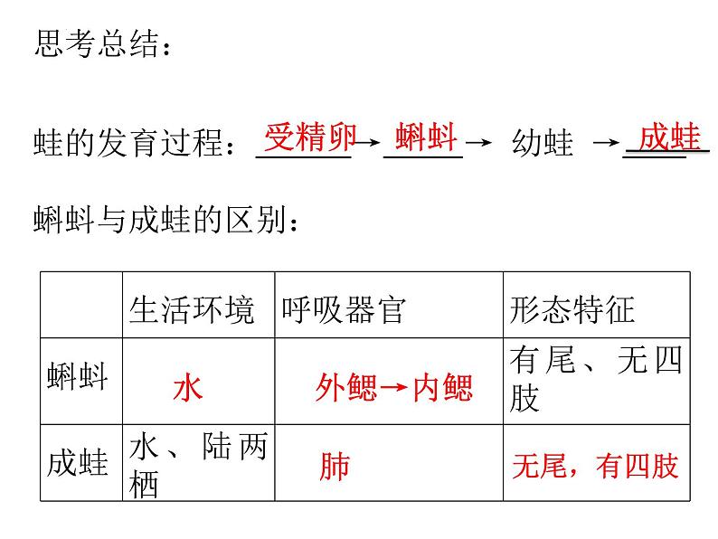 2023-2024学年八年级生物（北师大版）上册同步备课优质课件 19.2.2 动物的生殖和发育第8页