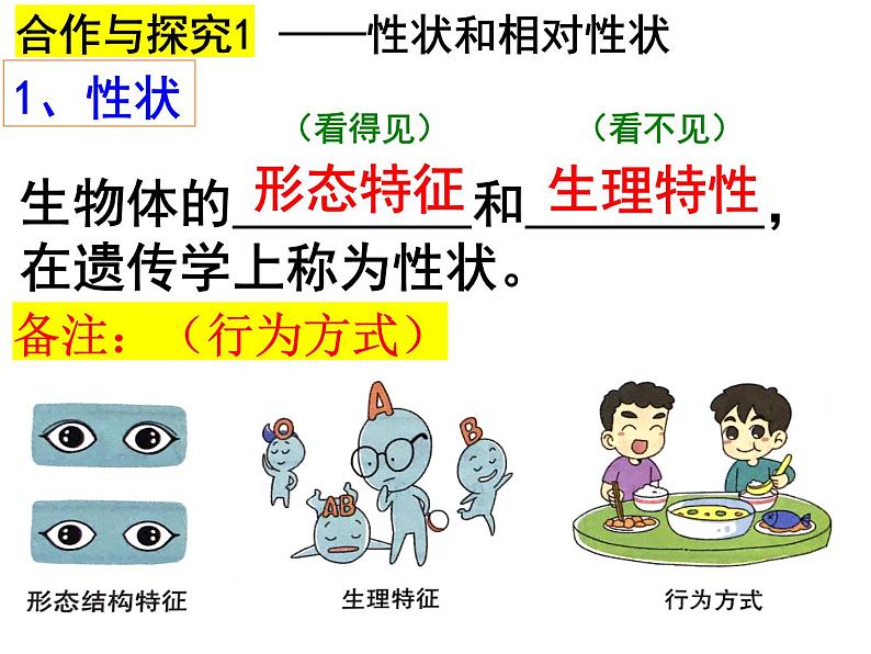 2023-2024学年八年级生物（北师大版）上册同步备课优质课件 20.1 遗传和变异现象05