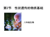 2023-2024学年八年级生物（北师大版）上册同步备课优质课件 20.2 性状遗传的物质基础